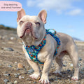 Tough Trails™ Harness -  Fruit Punch