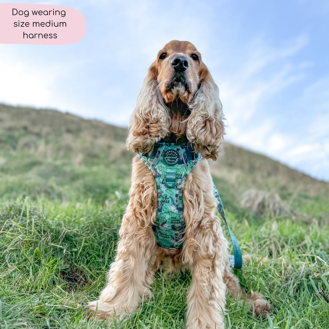 Disney© Tough Trails™ Harness - Jungle Book