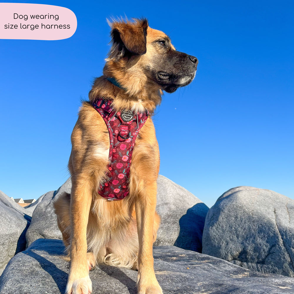 Tough Trails™ Harness - Mable's Meadow