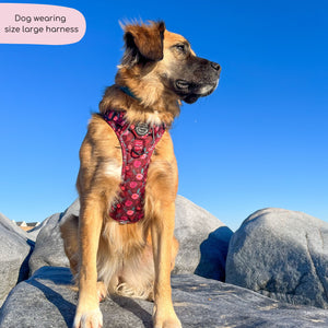 Tough Trails™ Harness - Mable's Meadow