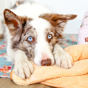 Disney© Microfibre Towel - Winnie The Pooh