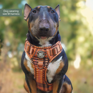 Tough Trails™ Harness -  Golden Acre