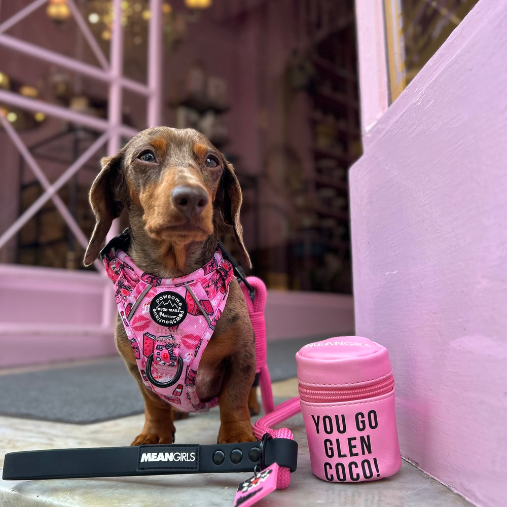 Treat Pouch - Mean Girls