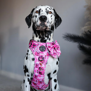 Sailor Bow -Mean Girls