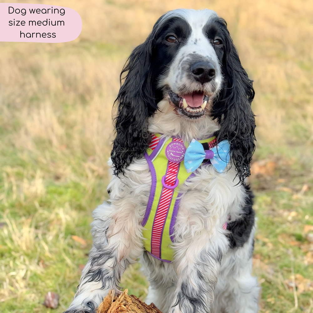 Disney© Tough Trails™ Harness - Buzz Lightyear