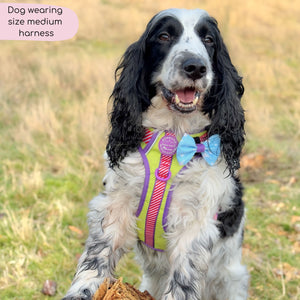 Disney© Tough Trails™ Harness - Buzz Lightyear