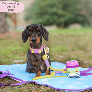 Disney© Waterproof Collar - Buzz Lightyear