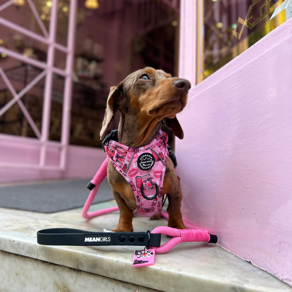 4ft Rope Lead - Mean Girls - Pink and Black