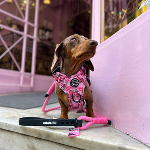 4ft Rope Lead - Mean Girls - Pink and Black