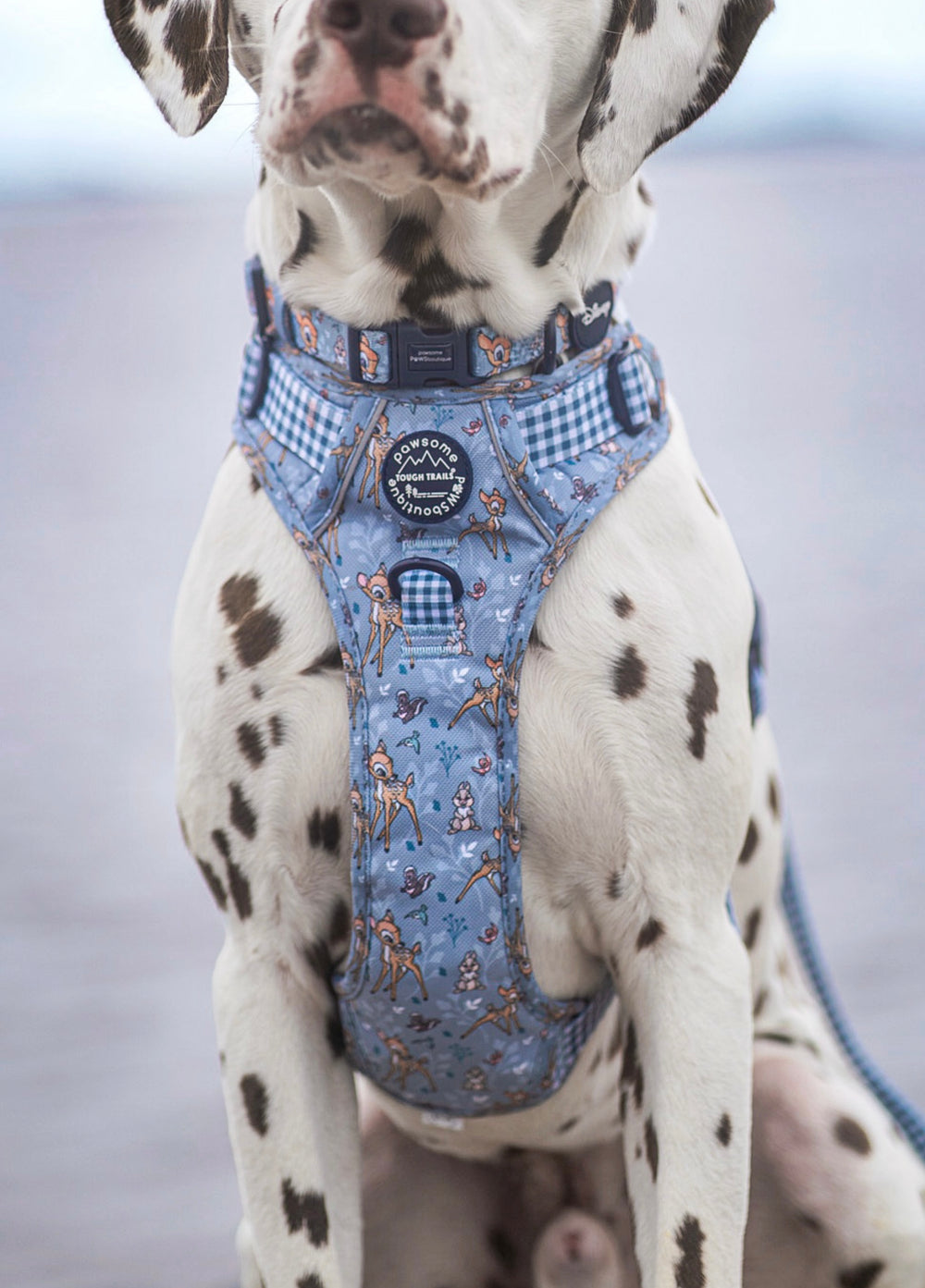 Disney© Collar - Bambi + Friends Blue