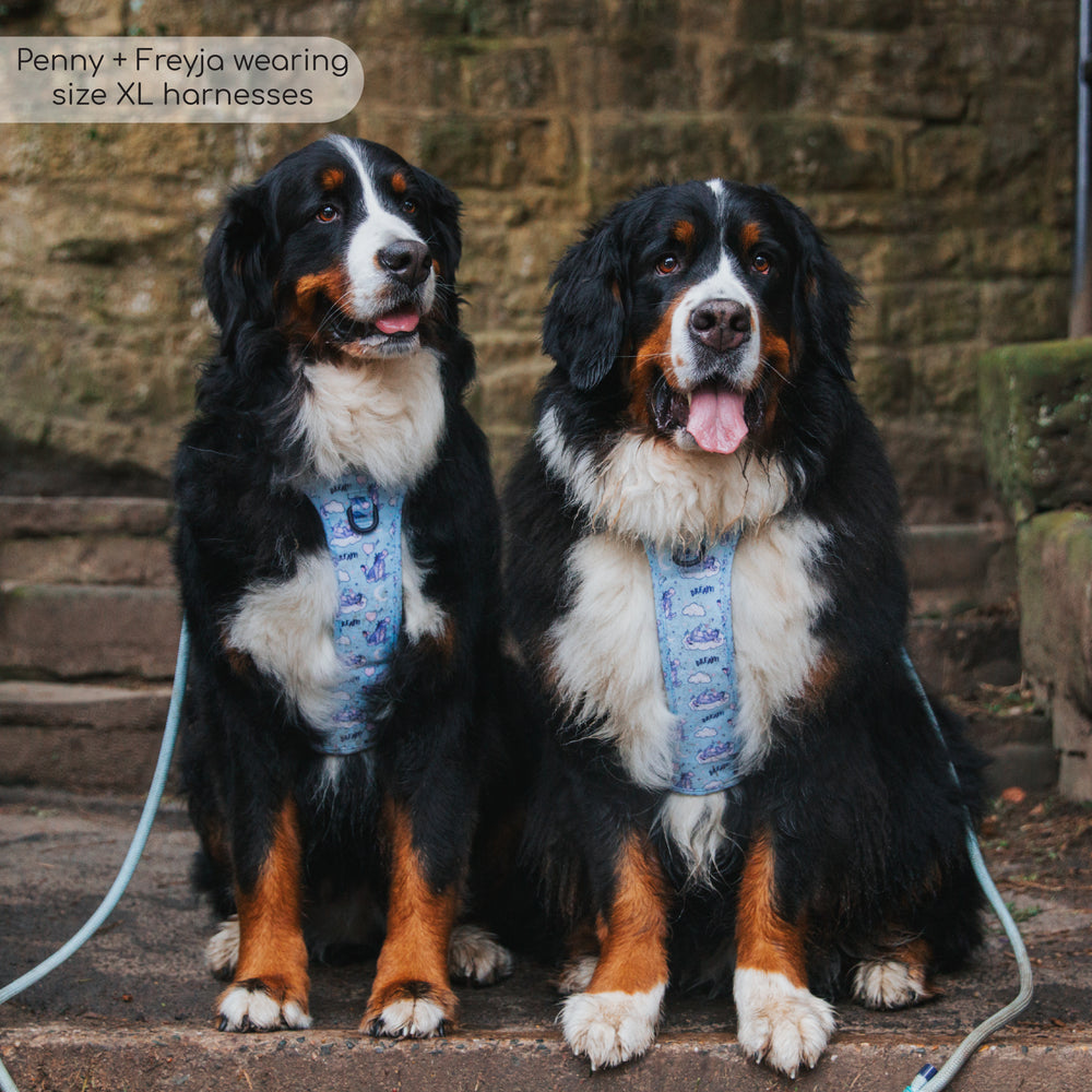 Disney© Tough Trails™ Harness - Eeyore