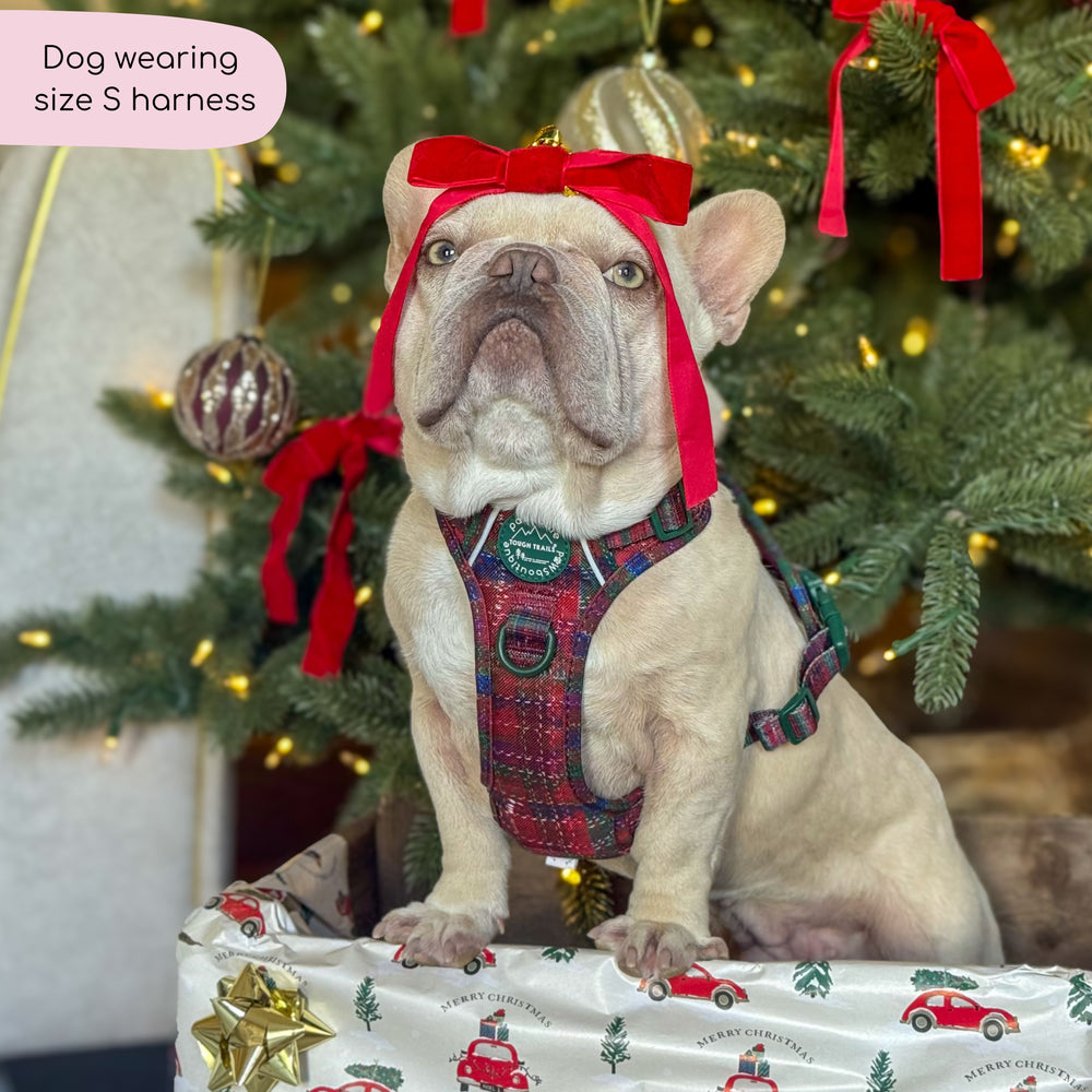 Tough Trails™ Harness - Yuletide Plaid