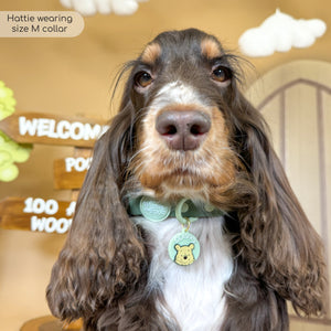 Disney© Waterproof Collar - 100 Aker Wood