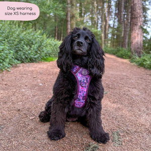 Tough Trails™ Harness - Roaming Wild