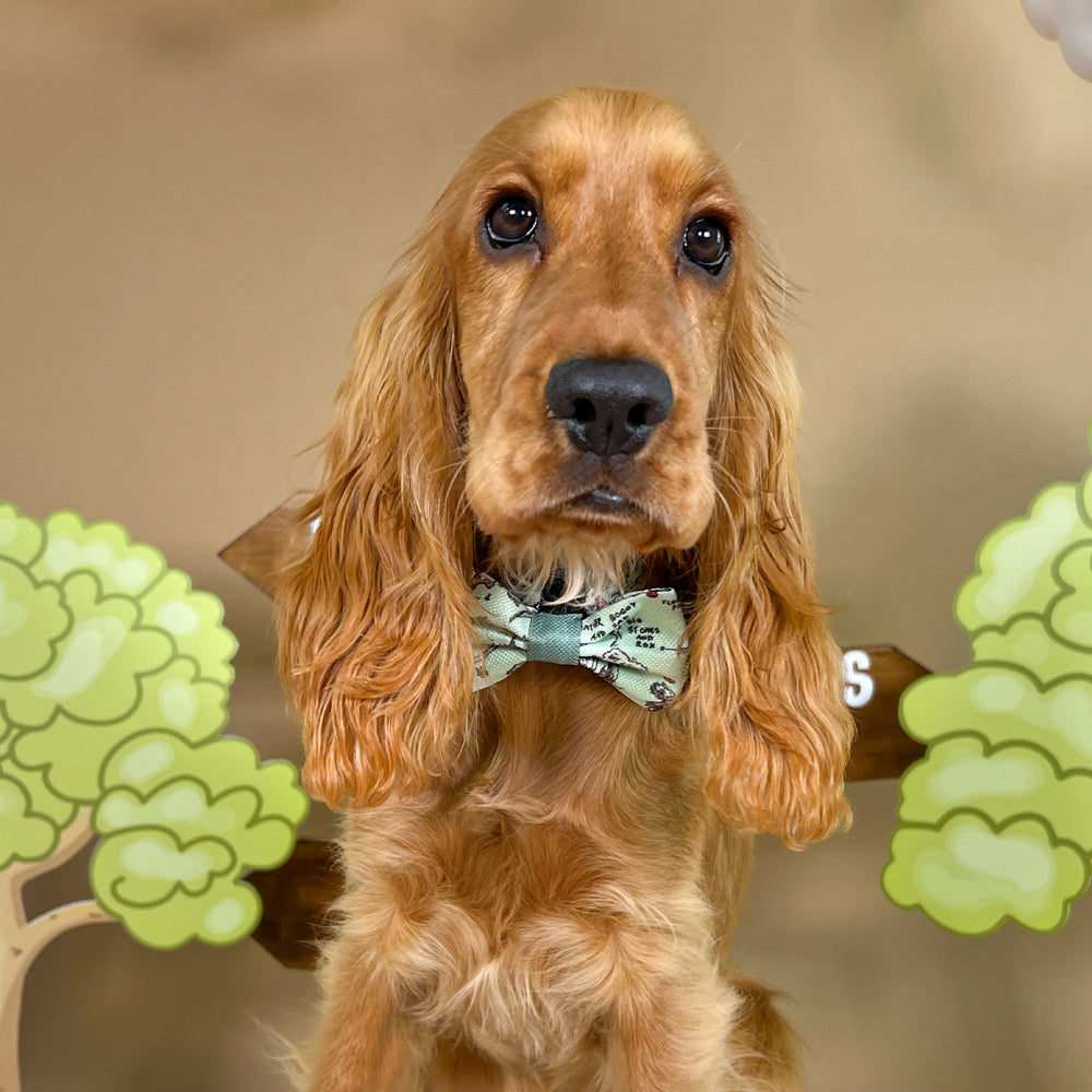 Disney© Bow Tie - 100 Aker Wood