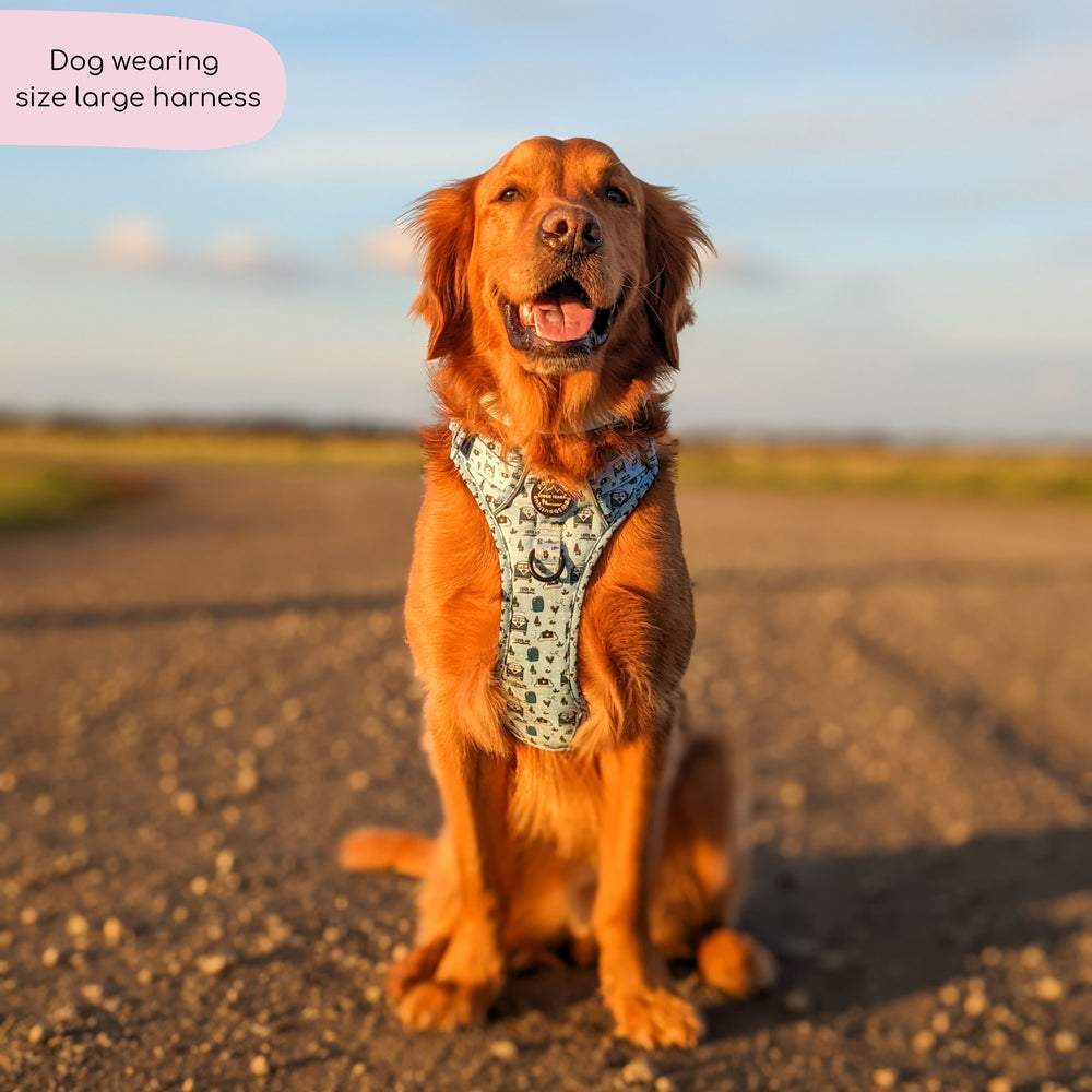 Tough Trails™ Harness - Reuben's Roadtrip