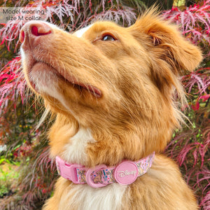 Disney© Collar - Nala