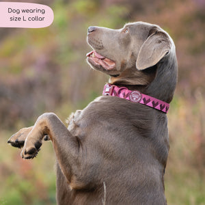 Collar - Walkies Ready® Mulberry