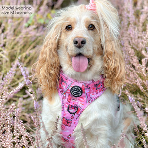 Tough Trails™ Harness - Mean Girls