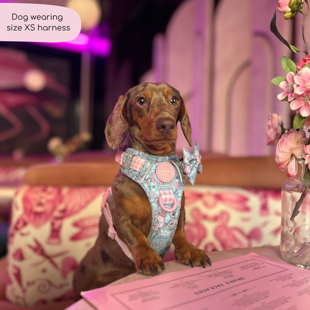 Disney© Tough Trails™ Harness - Mad Hatters Tea Party