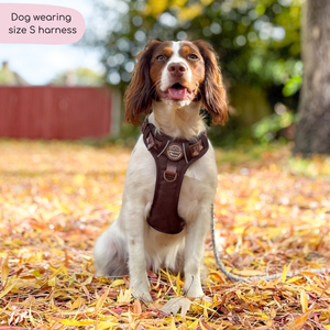 Tough Trails™ Harness - Walkies Ready® Chocolate Brown