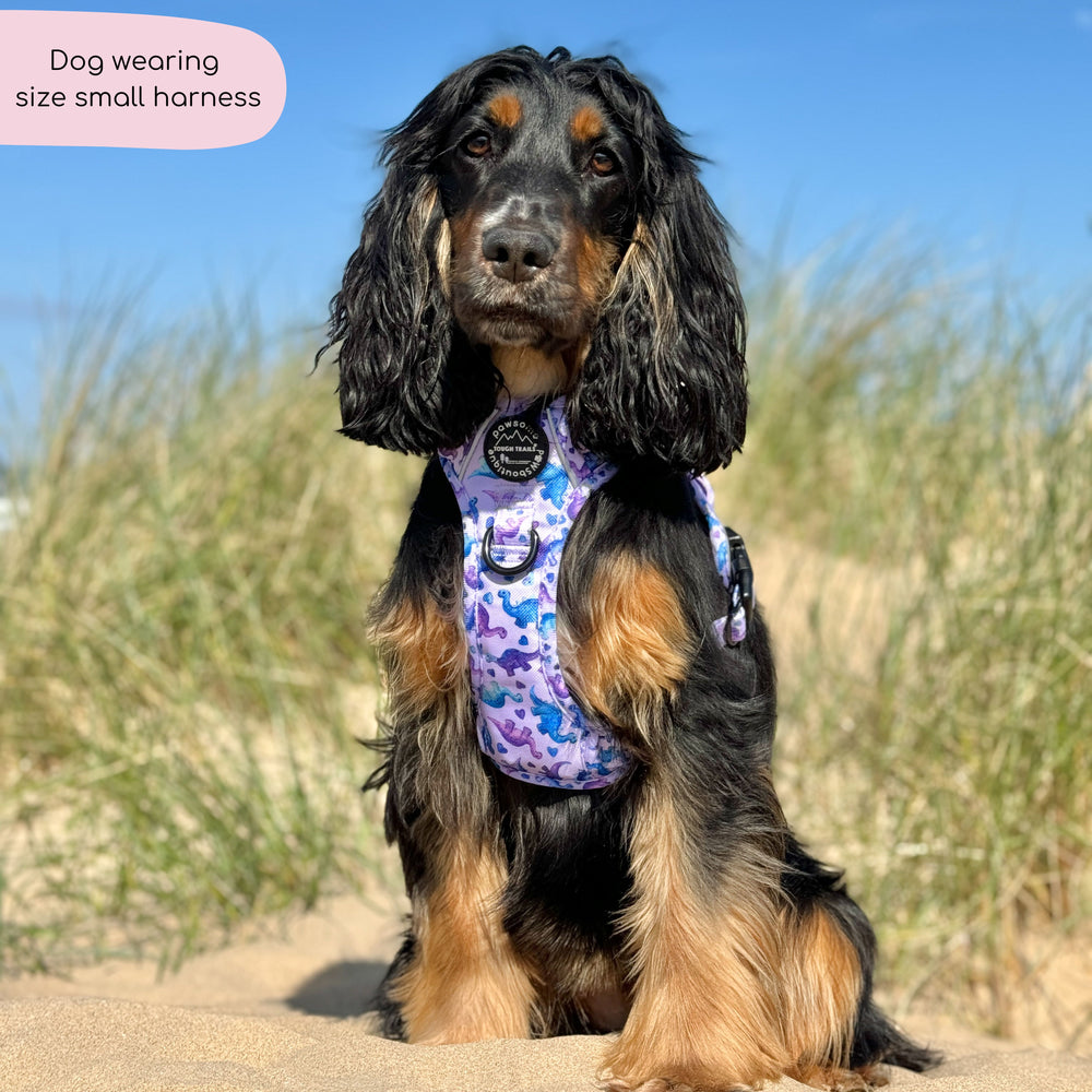 Tough Trails™ Harness - Tiny Diny