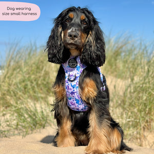 Tough Trails™ Harness - Tiny Diny