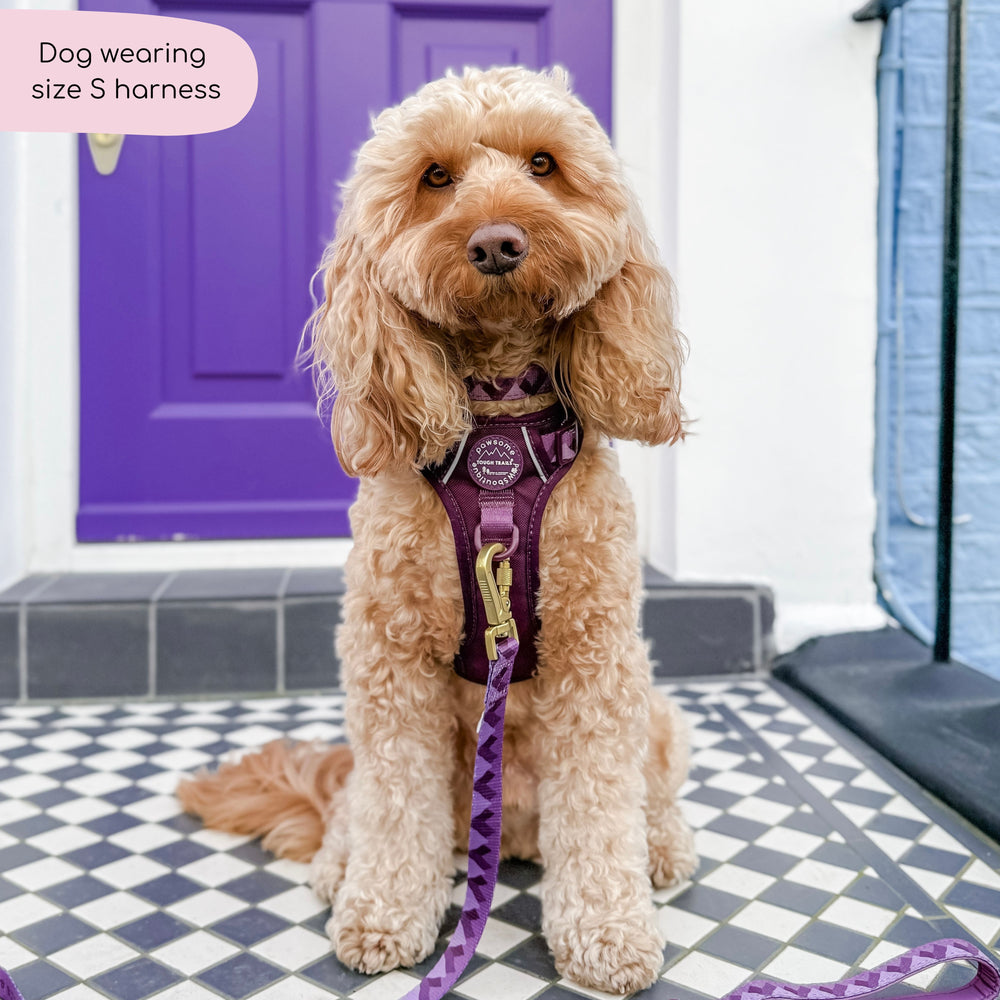 Tough Trails™ Harness - Walkies Ready® Plum