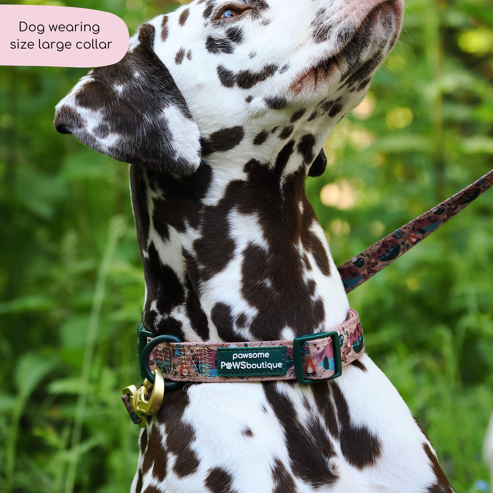 Collar - Adventure Awaits