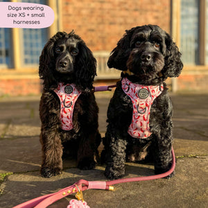 Tough Trails™ Harness - Chilli Dog