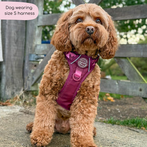Tough Trails™ Harness - Walkies Ready® Mulberry