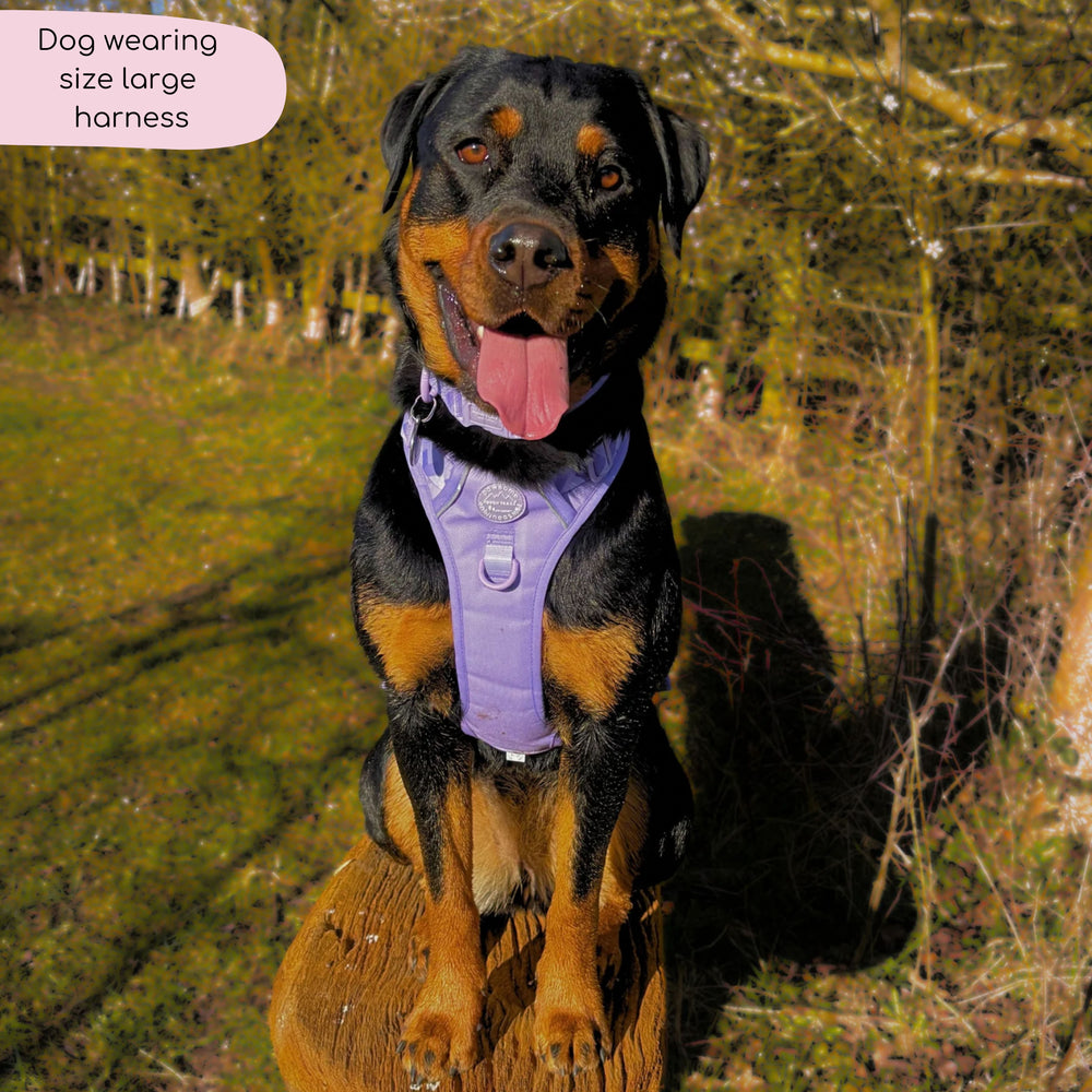 Tough Trails™ Harness - Walkies Ready® Lavender Lilac