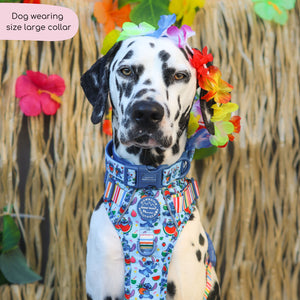 Disney© Collar - Stitch's Fruit Fiesta