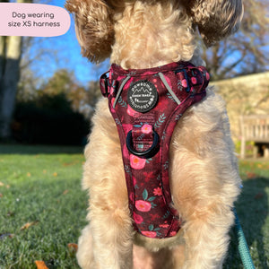 Tough Trails™ Harness - Mable's Meadow