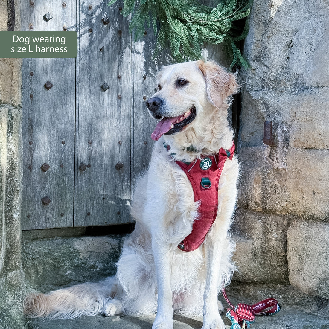 Tough Trails™ Harness - Walkies Ready® Snowy Mountains