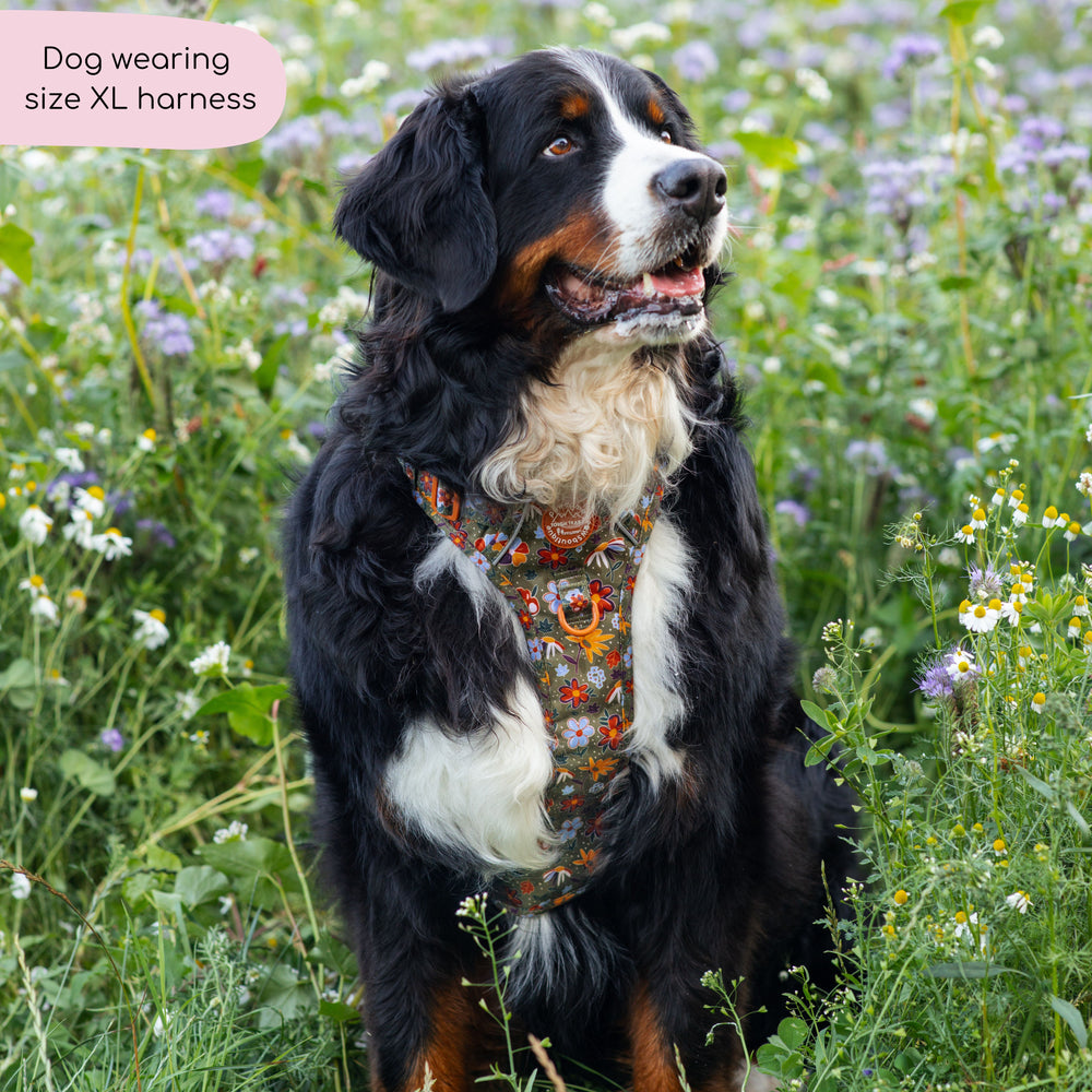 Tough Trails™ Harness - Rust & Bloom