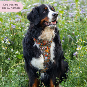 Tough Trails™ Harness - Rust & Bloom