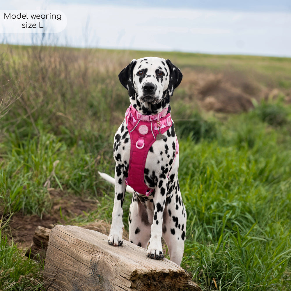 Tough Trails™ Harness - Walkies Ready® Raspberry Pink