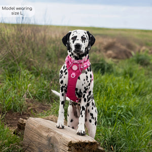 Tough Trails™ Harness - Walkies Ready® Raspberry Pink