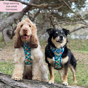 Tough Trails™ Harness -  Fruit Punch