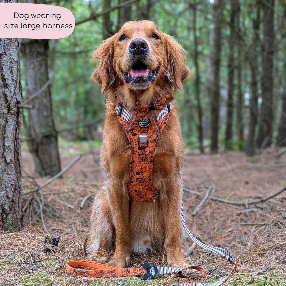 Disney© Tough Trails™ Harness - Halloween