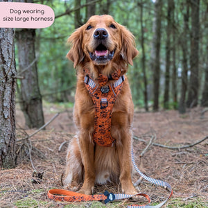 Disney© Tough Trails™ Harness - Halloween