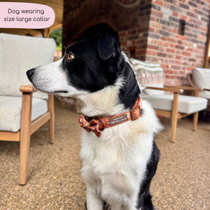 Collar - Cinnamon Spice