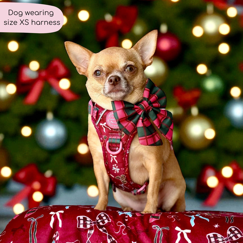 Tough Trails™ Harness - Bows Of Joy