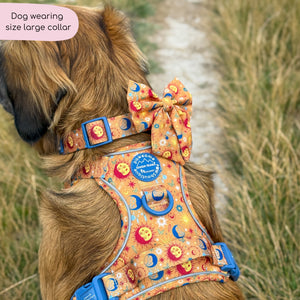 Collar - Celestial Spirit