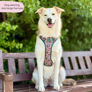 Tough Trails™ Harness -  Adventure Awaits