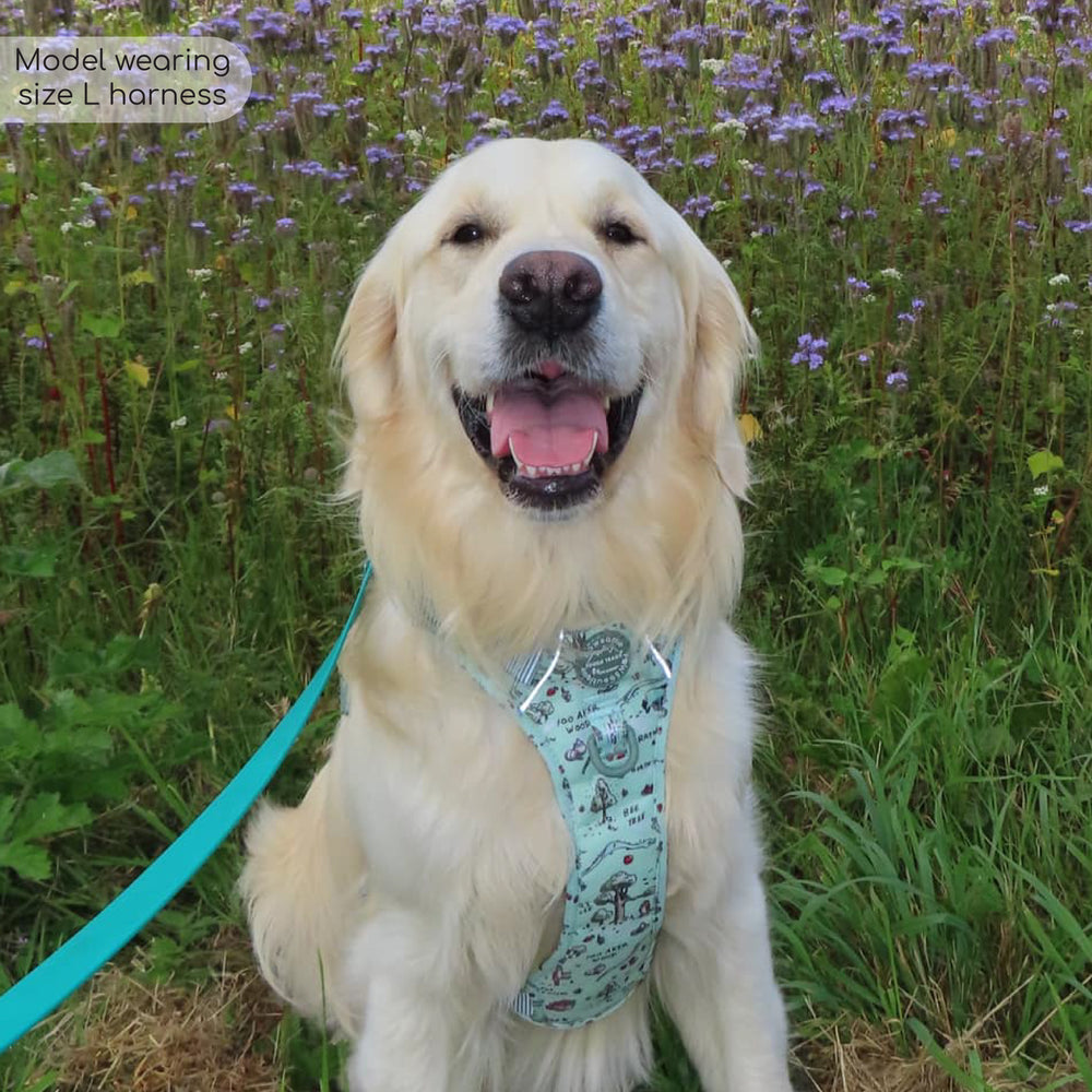 Disney© Tough Trails™ Harness - 100 Aker Wood