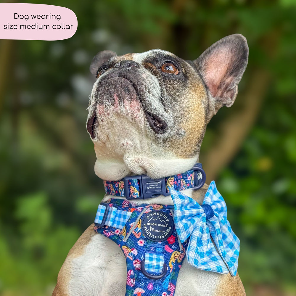 Disney© Collar - Alice In Wonderland