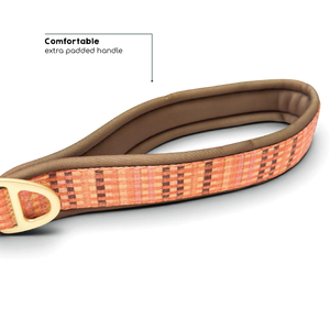 AdjustFit Lead - Golden Acre