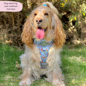 Tough Trails™ Harness -  Sandy Shores